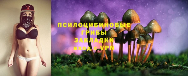 спайс Абаза