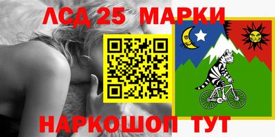 прущие грибы Кандалакша
