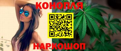 прущие грибы Кандалакша